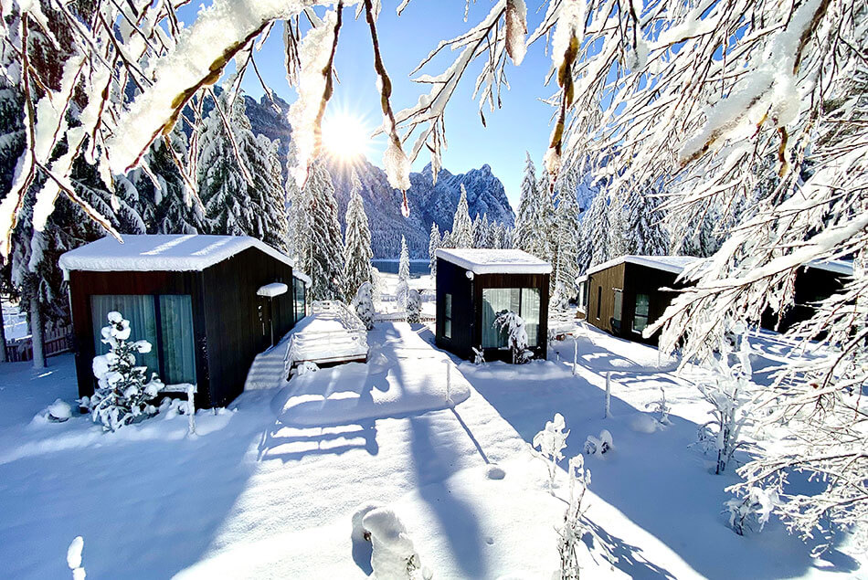 Winter Wonderland